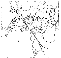 Stadtplan Wolsttyn